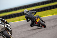 PJ-Motorsport-2019;anglesey-no-limits-trackday;anglesey-photographs;anglesey-trackday-photographs;enduro-digital-images;event-digital-images;eventdigitalimages;no-limits-trackdays;peter-wileman-photography;racing-digital-images;trac-mon;trackday-digital-images;trackday-photos;ty-croes
